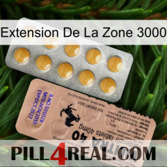 Exten Zone 3000 41